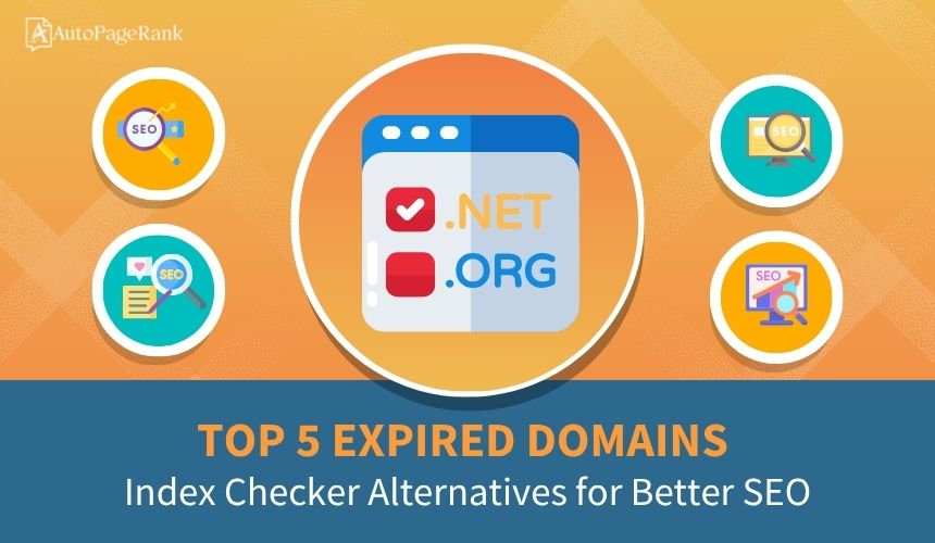 Top 5 Expired Domains Index Checker Alternatives for Better SEO